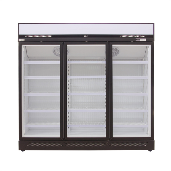 Vertical Freezer